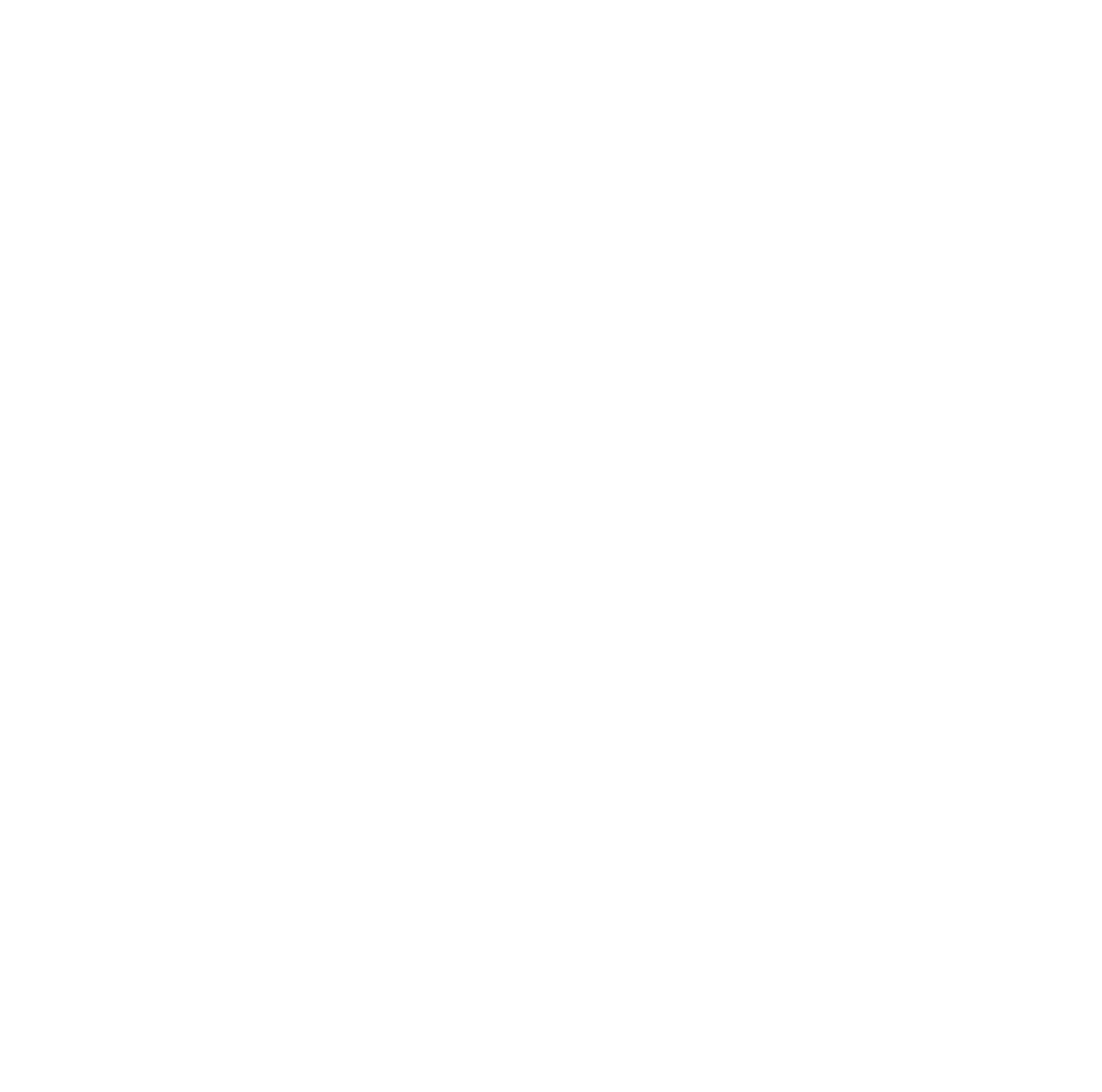 White logo with transparent background for Bland Richter, LLP - South Carolina medical malpractice, legal malpractice, and trucking accident attorneys